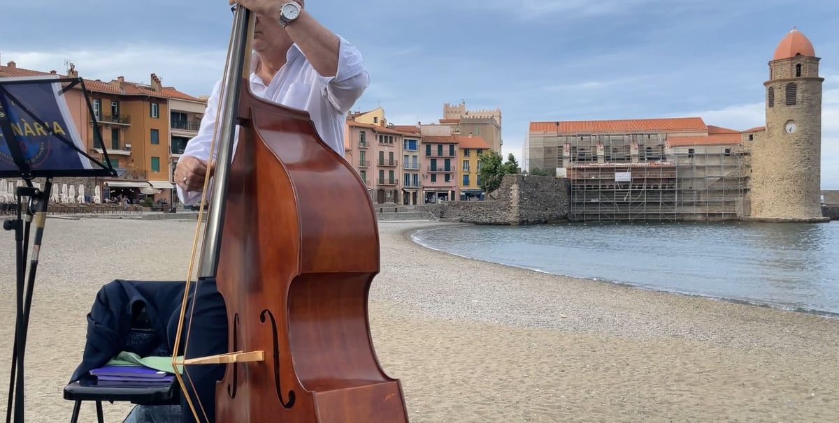 Contrebassiste sur la plage de Collioure